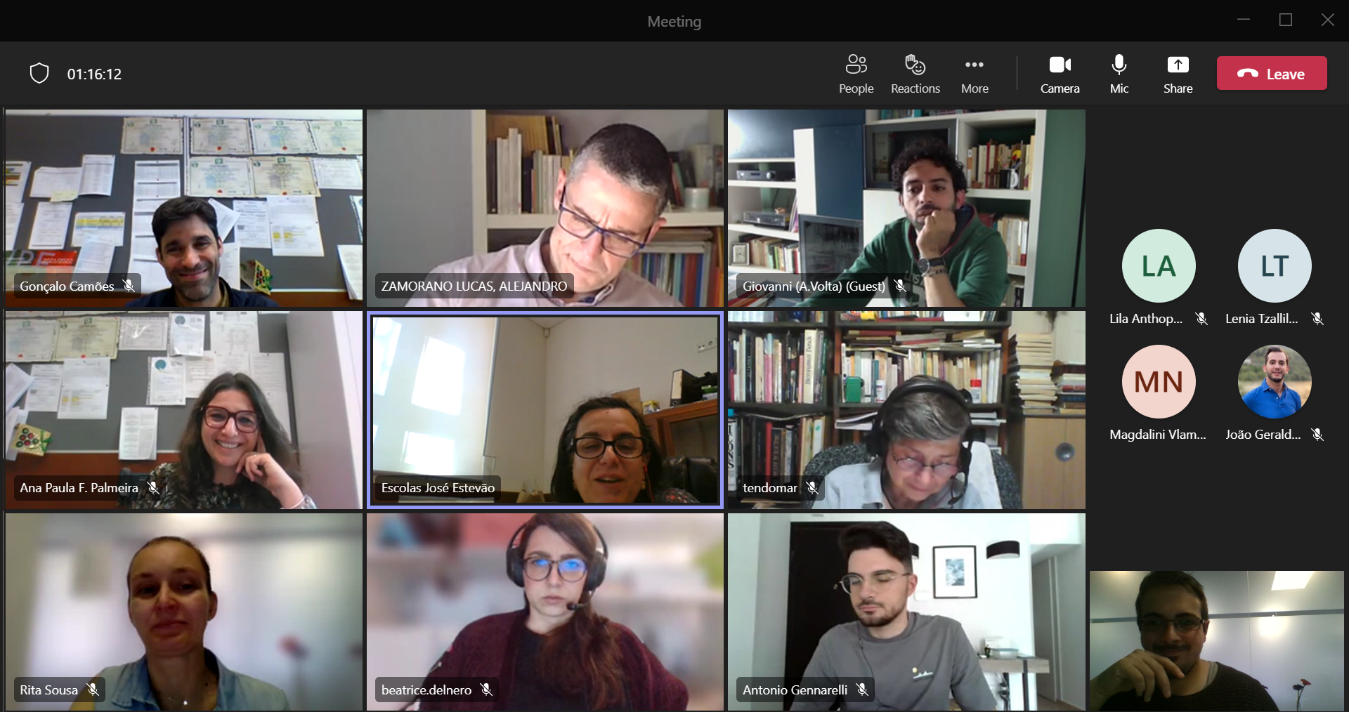 The image is a screenshot of an online meeting. Several people appear in the screen, that is divided allowing to see everyone at the same time.